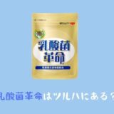 乳酸菌革命ツルハやマツキヨで購入できるの?安く購入できる店舗とは